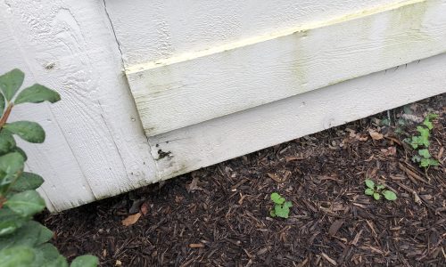 Ground Moisture Damage