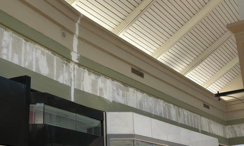 Shopping Mall Buford, GA - During