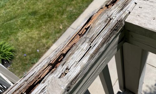 Wood Deterioration