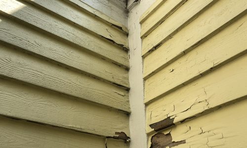 Siding Board Replacement
