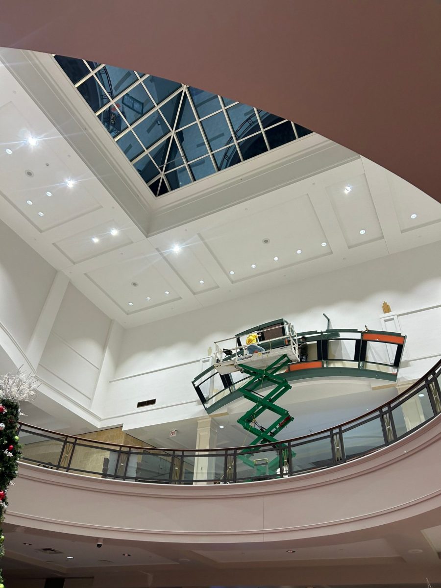 Shopping Mall Buford, GA - During Preview Image 10