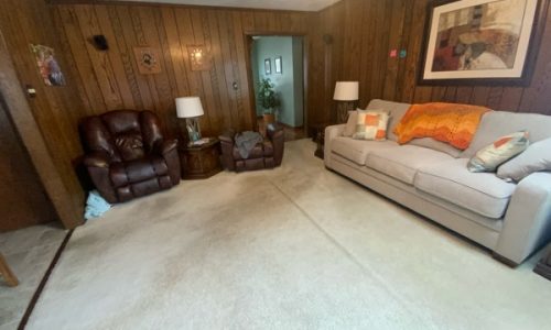 Living Room (Before)