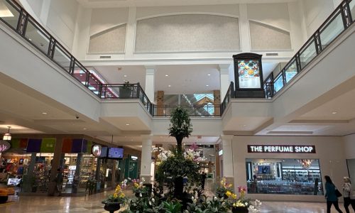 Shopping Mall Buford, GA - After