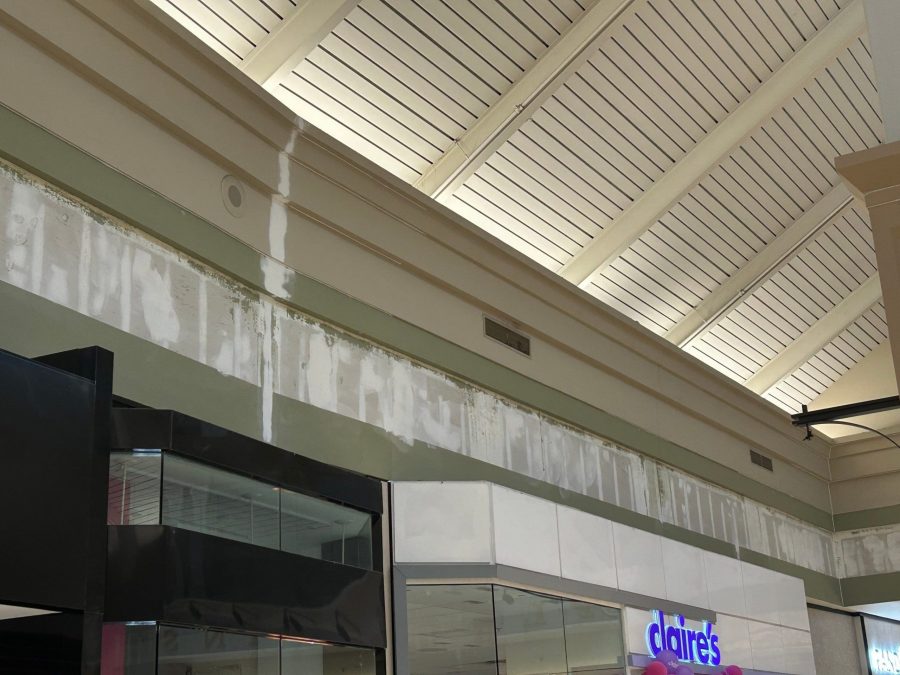 Shopping Mall Buford, GA - During Preview Image 11