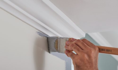 professional painting application