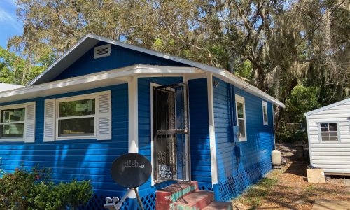 Vibrant Blue Home