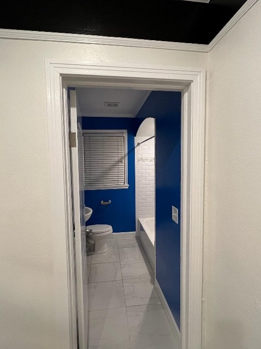 Bathroom Repainted Blue Preview Image 4