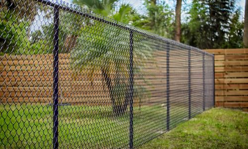 Chain Link Fence