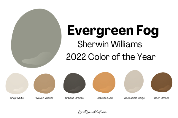 Evergreen-Fog-Sherwin-Williams-Color-palette