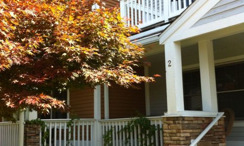 Apartment Painting Service