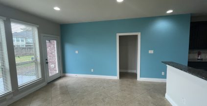 Interior House Painting