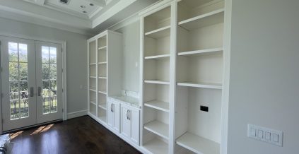 Cabinets & Shelving Painting