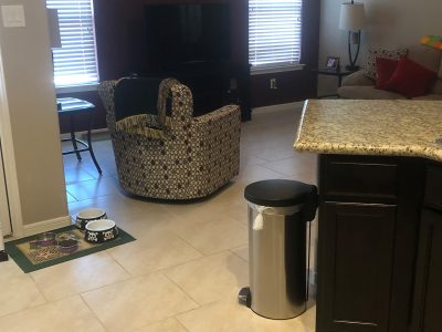 living room and kitchen interior painting