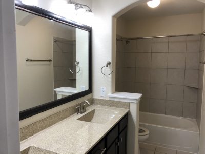 residential bathroom painting