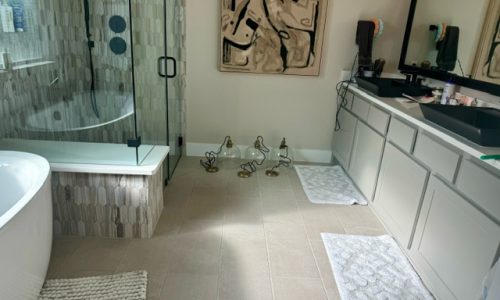 Interior Bathroom Painting