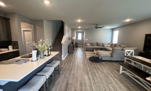 Living Room Interior Painting