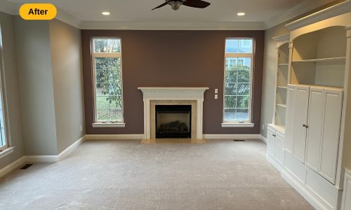 Living Room Painting