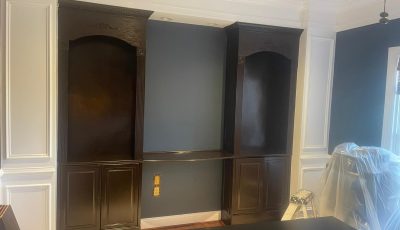 Staining Project After