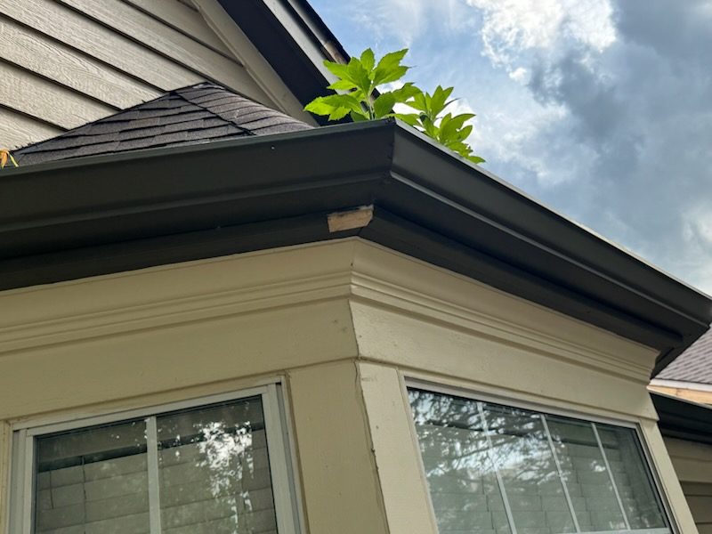 McKnight Place (During) Preview Image 25