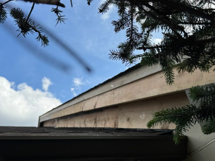 McKnight Place (During) Preview Image 21