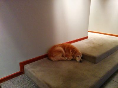 Interior wallpaper removal and painting by CertaPro house painters in Ladue, MO