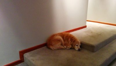 Interior wallpaper removal and painting by CertaPro house painters in Ladue, MO