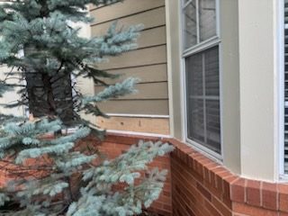 McKnight Place (During)