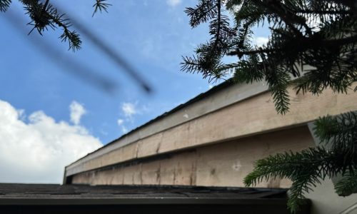 McKnight Place (During)