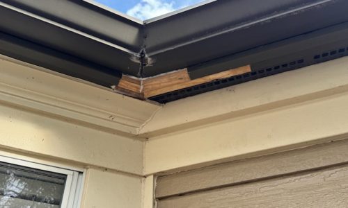 McKnight Place (During)