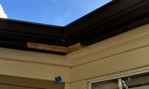 McKnight Place (During)