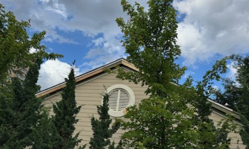 McKnight Place (During)