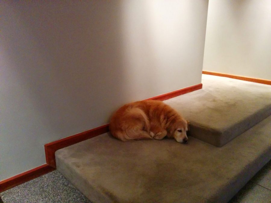 Interior wallpaper removal and painting by CertaPro house painters in Ladue, MO