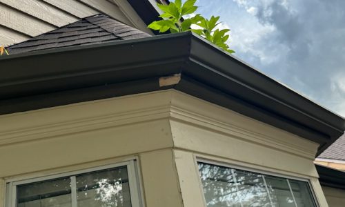 McKnight Place (During)