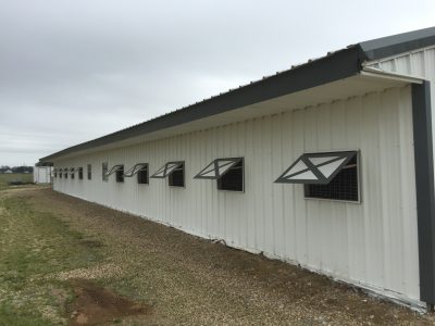 commercial barn painting