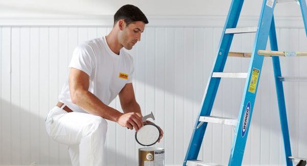 house painters in coronado