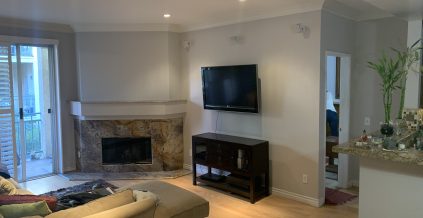 Living Room Painting