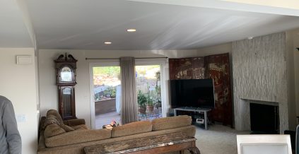 Living Room Painting