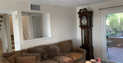 Living Room Painting