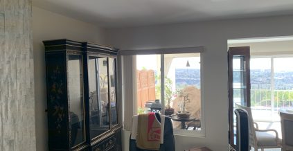 Dining Room Painting