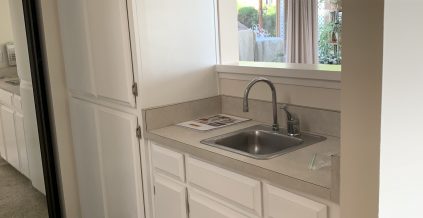 Kitchen Cabinet Painting