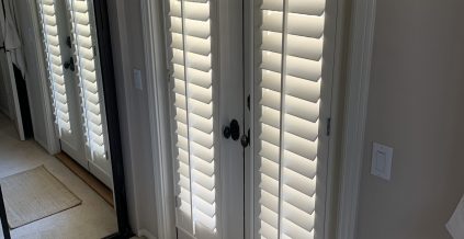 Interior Door Painting