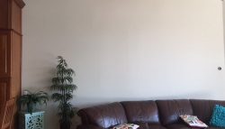 CertaPro Painters in Lake Apopka, FL your Interior painting experts