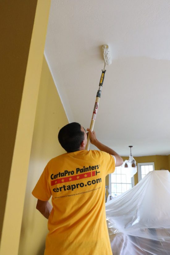 Professional House Painters