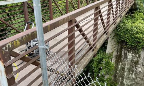 Schuylkill River Greenways - Before