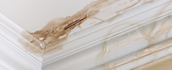 Check out our Painting and Staining