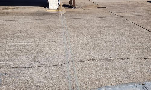 Painting in Progress