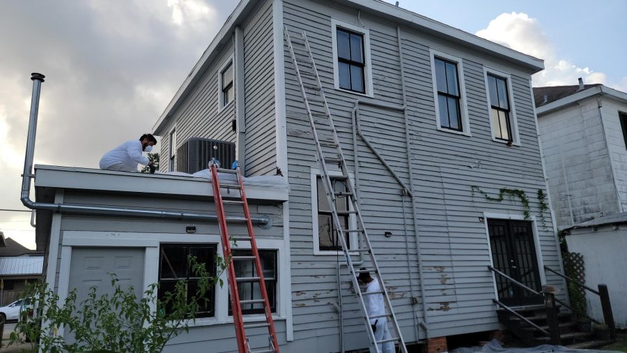 Residential Painting Project Preview Image 9