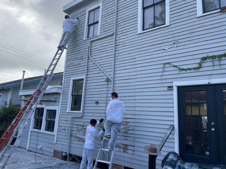 Residential Painting Project Preview Image 2