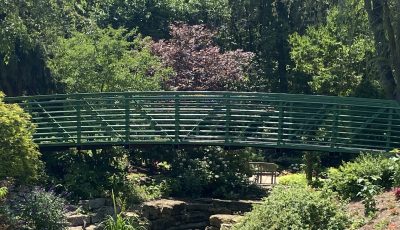 City Bridge Painting