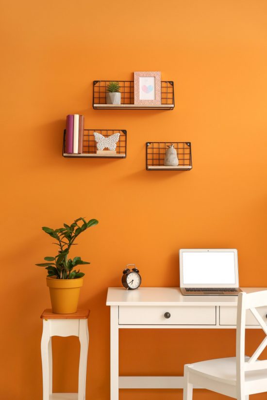 Orange color wall with shelving, a potted plant, and a table